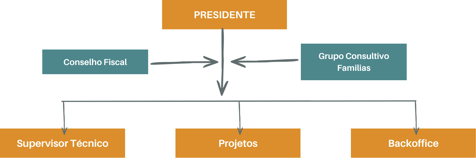 SITE IVA e Linha do Tempo.png